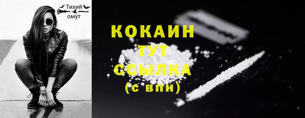 молекула духа Коряжма