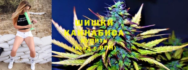 молекула духа Коряжма