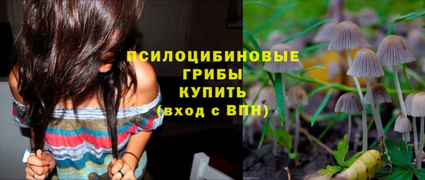 молекула духа Коряжма