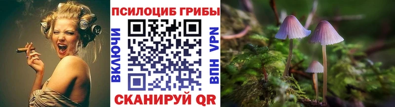 Галлюциногенные грибы Psilocybe  mega tor  Морозовск 