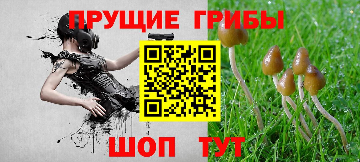 Галлюциногенные грибы ЛСД Морозовск